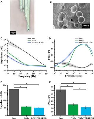 Utilizing GO/PEDOT:PSS/PtNPs-enhanced high-stability microelectrode arrays for investigating epilepsy-induced striatal electrophysiology alterations